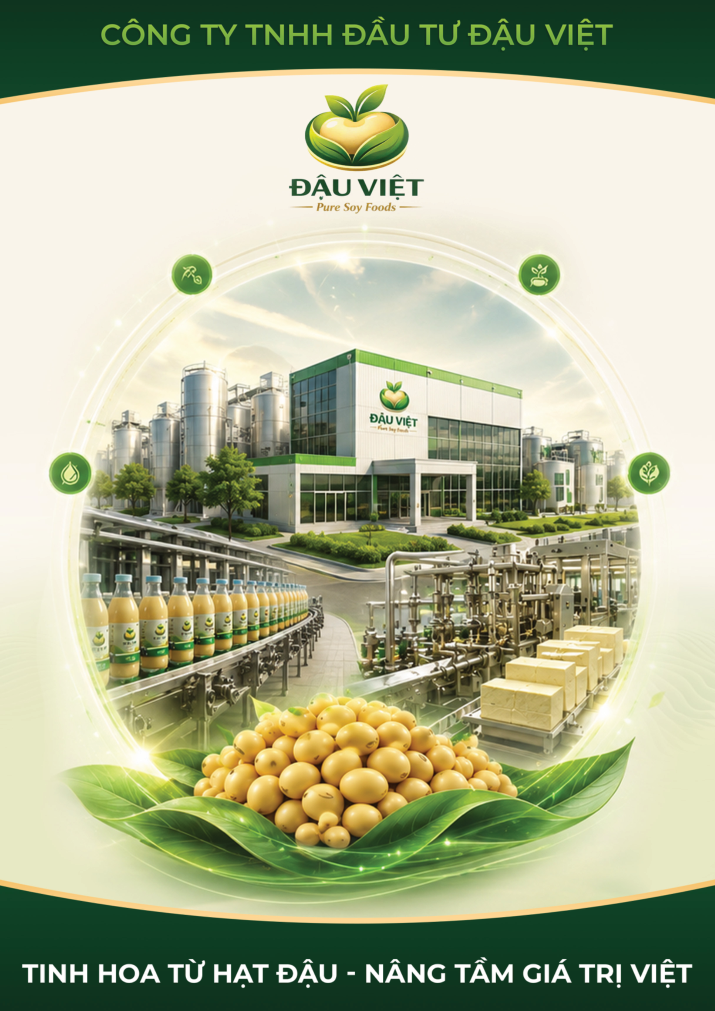 Bìa company profile Đậu Việt