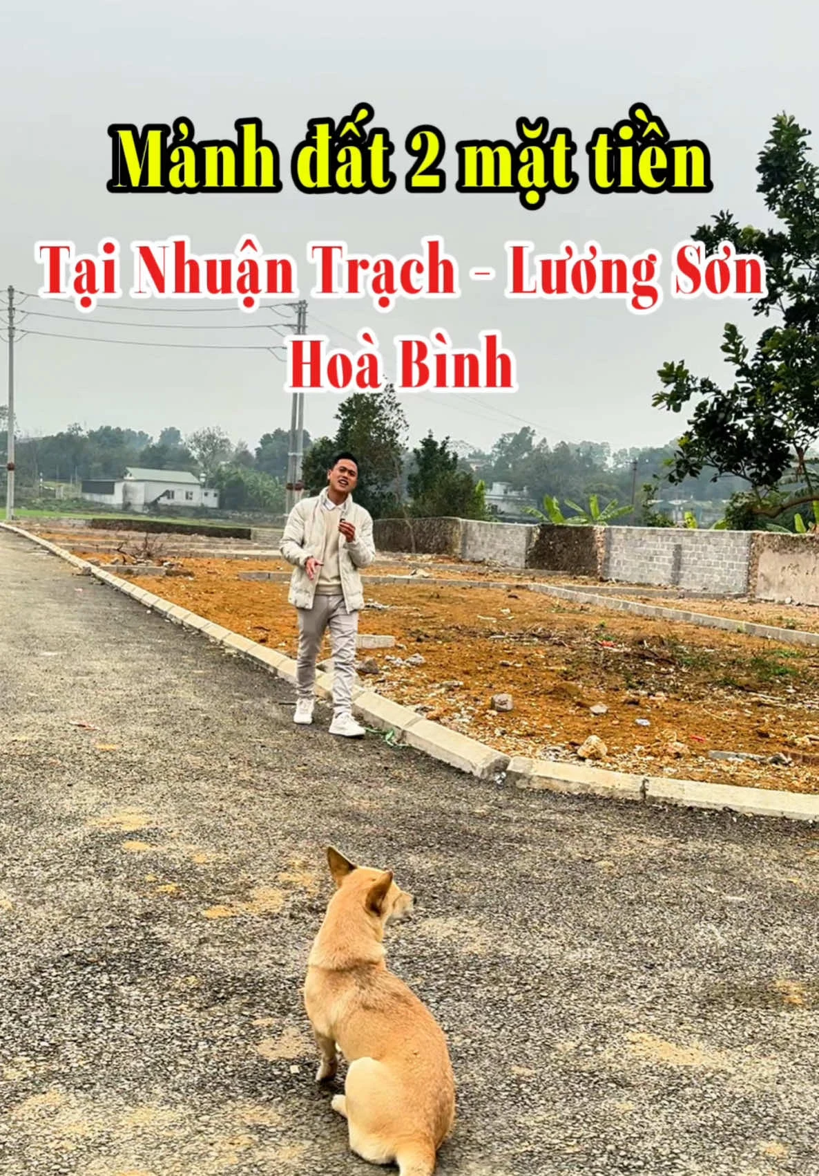 content nhà