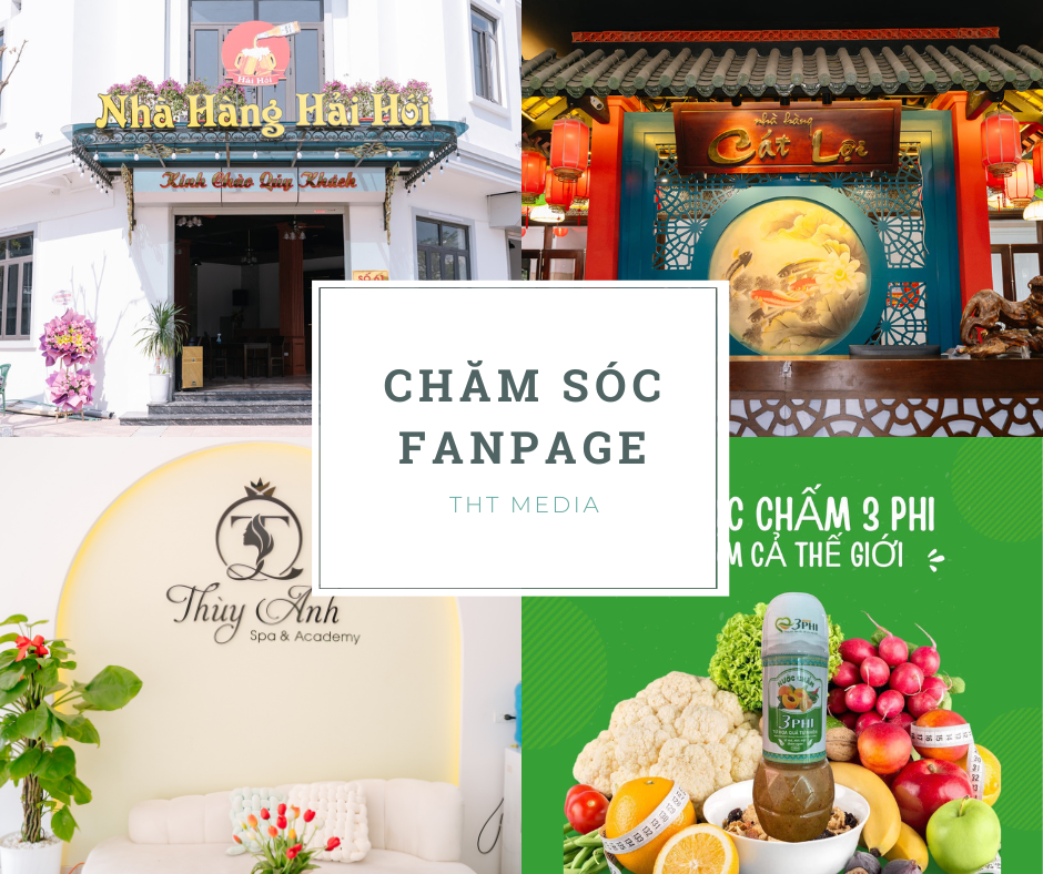 Các dự án Chăm sóc Fanpage THT Media đã thực hiện